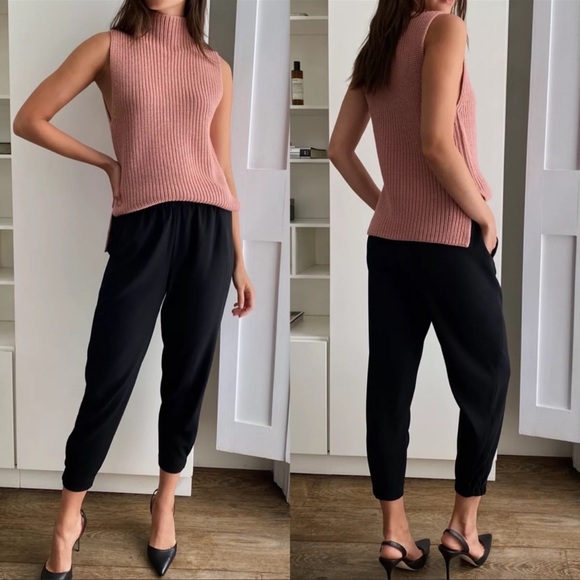 Aritzia Pants - Aritzia Babaton Dexter Pant